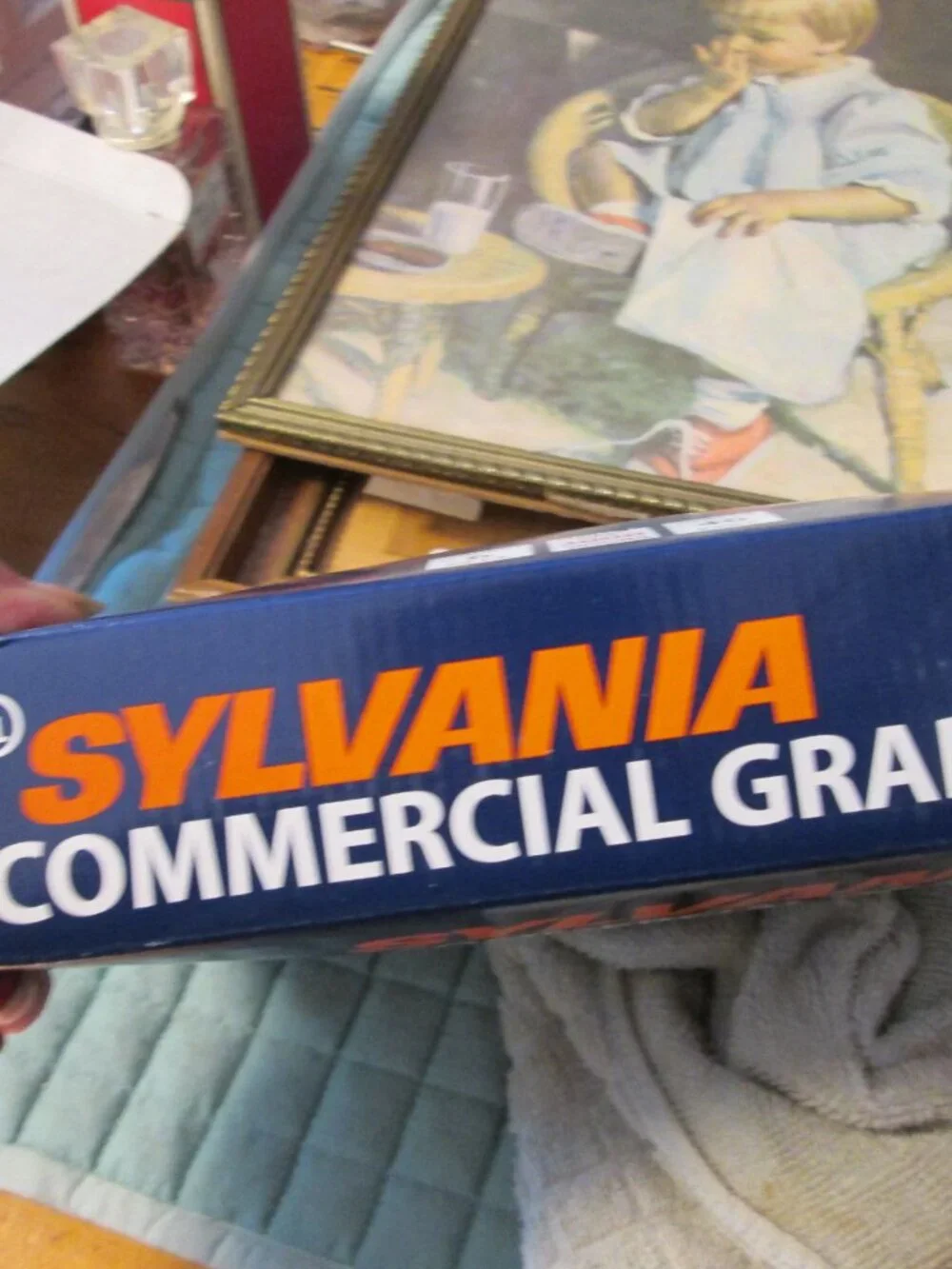 vtg sylvania new in box commercial grade `100 lights green cord multi mini